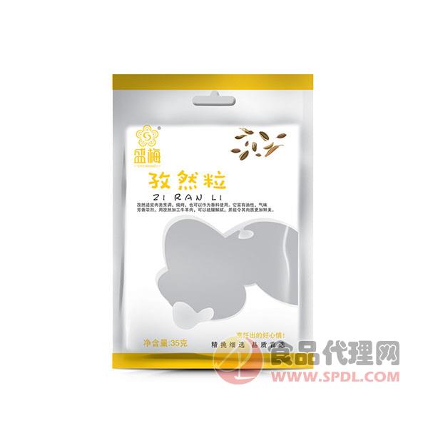 盛梅孜然粒35g