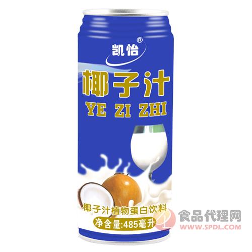 怡凯椰子汁植物蛋白饮料485ml