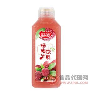 怡和堂杨梅汁饮料450ml
