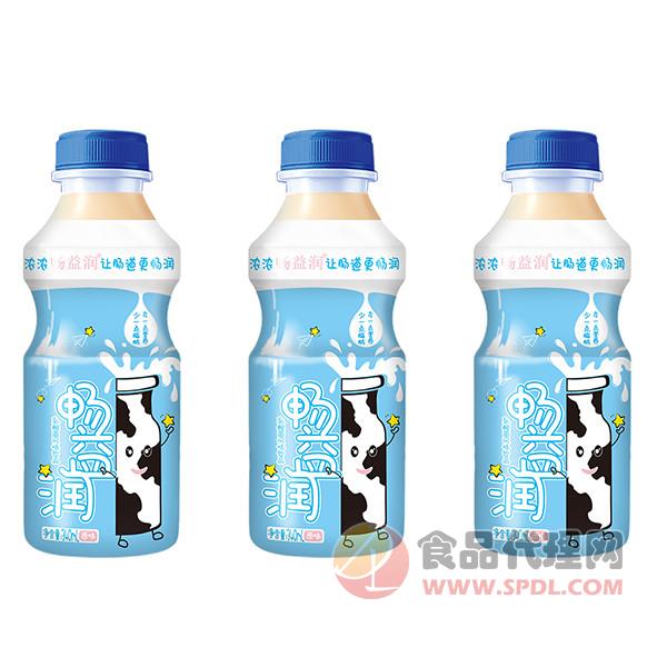 畅益润乳酸菌340ml