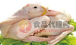 广东永良鲜品生鲜鸭整鸭5斤
