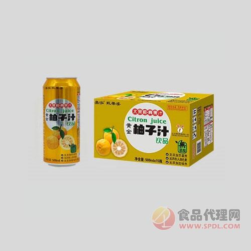 嘉泓甄果姿柚子汁饮品500ml×15瓶