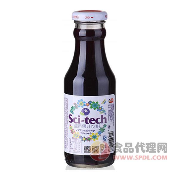 科技蓝莓果汁饮料瓶装