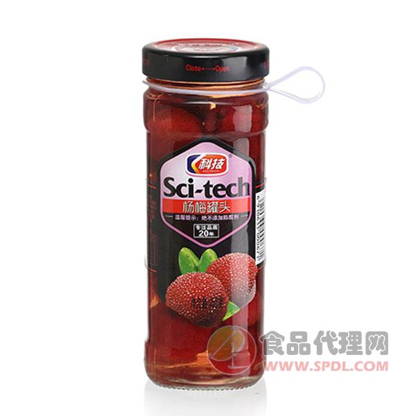 科技糖水杨梅罐头450g
