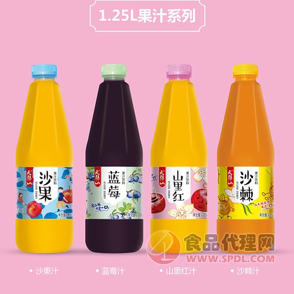 天拜山果汁饮料1.25L