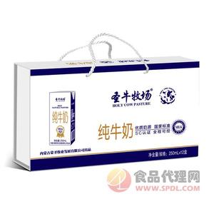 圣牛牧場(chǎng)純牛奶250mlx12盒