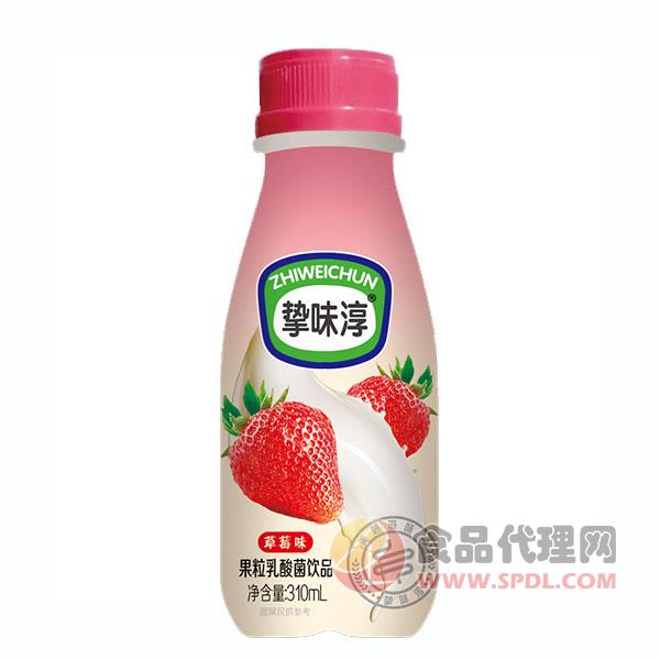 挚味淳果粒乳酸菌饮品草莓味310ml