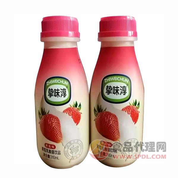 挚味淳果粒乳酸菌饮品草莓味310mlx2瓶