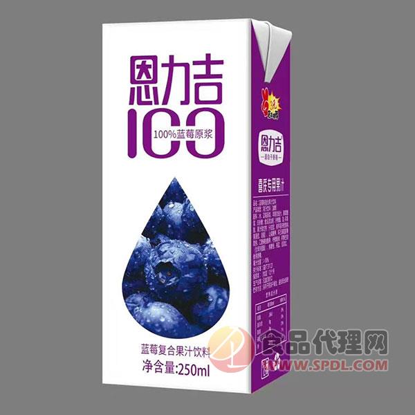 恩力吉蓝莓复合果汁饮料250ml