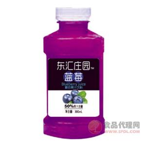 东汇庄园蓝莓复合果汁饮料380ml