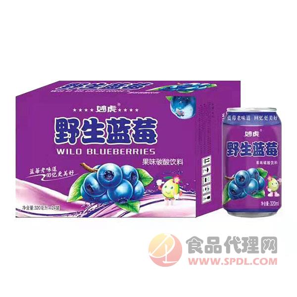 妙虎野生蓝莓果味碳酸饮料320mlX24罐