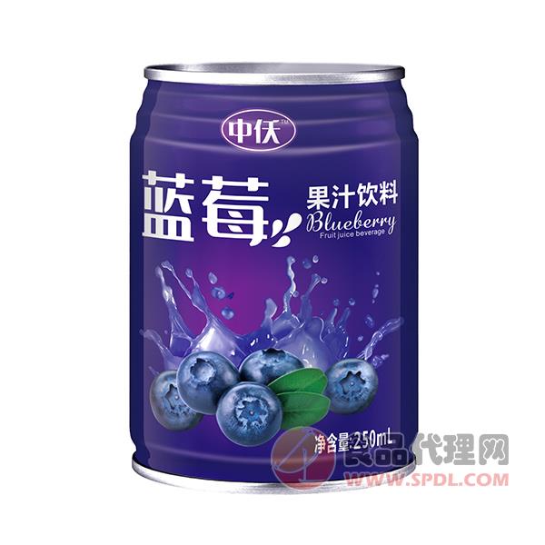 中仸蓝莓果汁饮料250ml