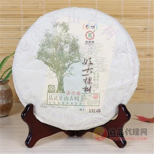 中茶普洱好大一棵树生茶357g