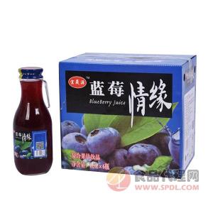 宜晟源蓝莓情缘复合果汁饮品1.5Lx6瓶