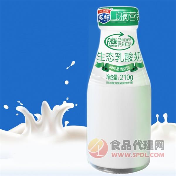 多鲜生态乳酸奶210g