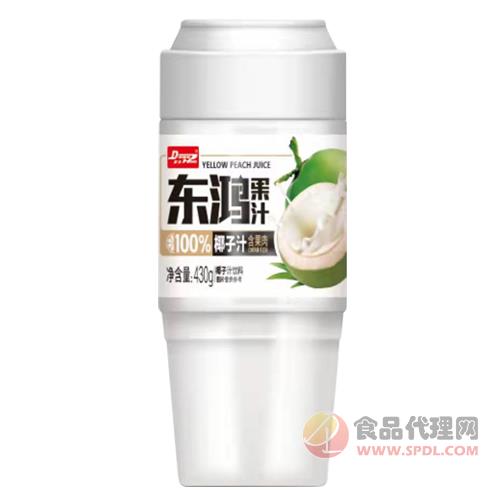 东鸿果汁椰子汁含果肉果汁饮料430g