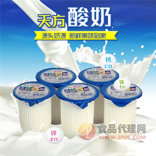 天方原味益生菌酸奶170g
