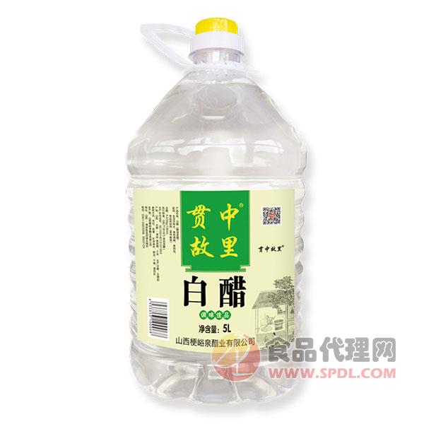 贯中故里白醋5L