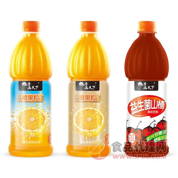 桃李满天下橙汁饮料1.25L