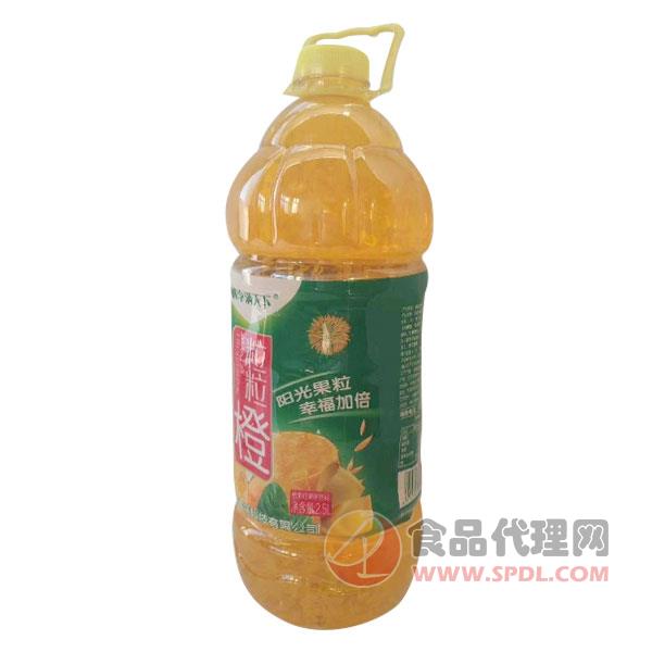 桃李满天下粒粒橙汁饮料2.5L