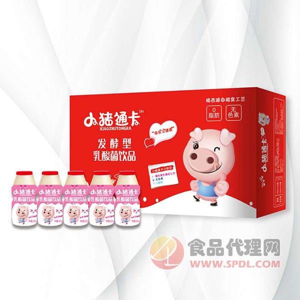 小猪通卡发酵型乳酸菌饮品礼盒
