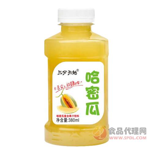 三分天地哈密瓜复合果汁饮料380ml