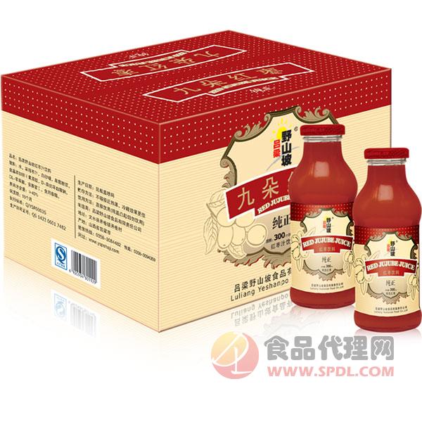 吕梁野山坡欧典红枣汁300ml×12瓶