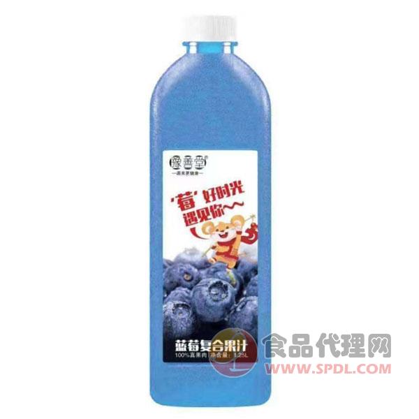 豫善堂蓝莓复合果汁饮料1.25L