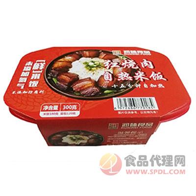 润味食品红烧肉自热米饭盒装