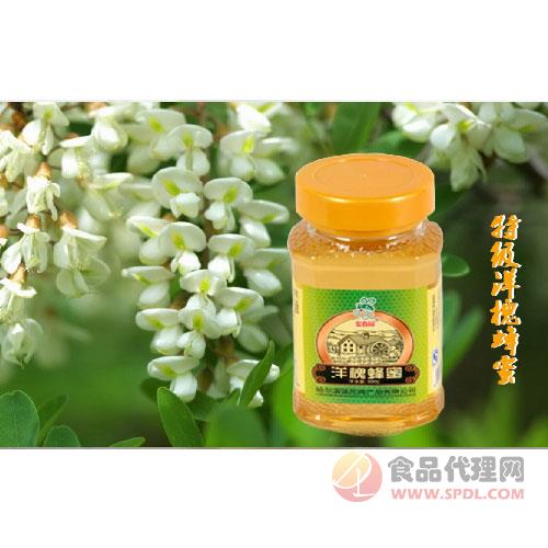 宏春园洋槐蜂蜜500g