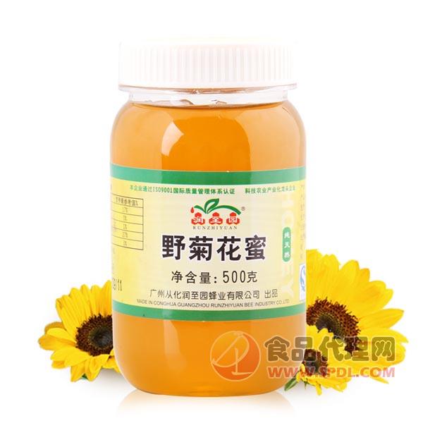 润至园野菊花蜜500g