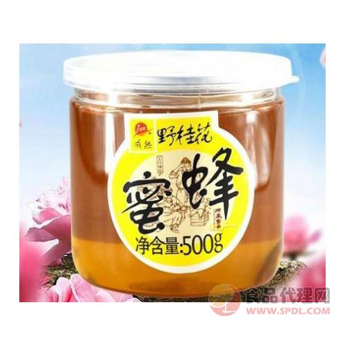 济泉野桂花蜂蜜500g