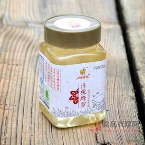 處州蜂業(yè)洋槐蜂蜜500g