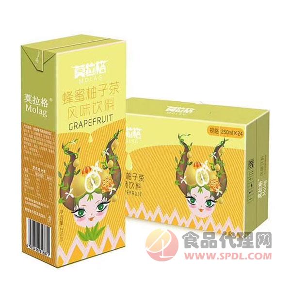 莫拉格蜂蜜柚子茶饮料250mlx24盒