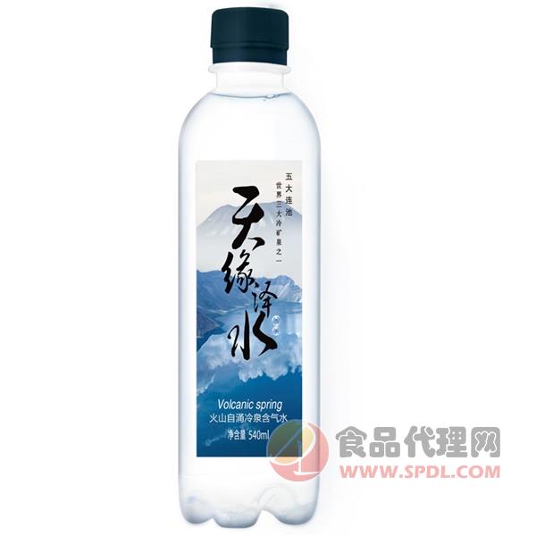 天缘泽水火山自涌冷泉含气水540ml