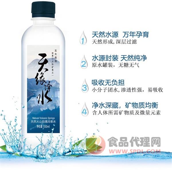 天缘泽水天然火山自涌冷泉水550ml