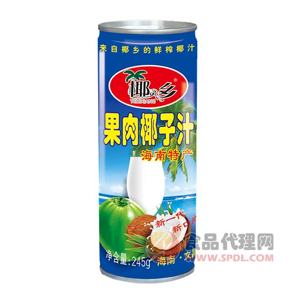 椰资乡果肉椰子汁饮料245g