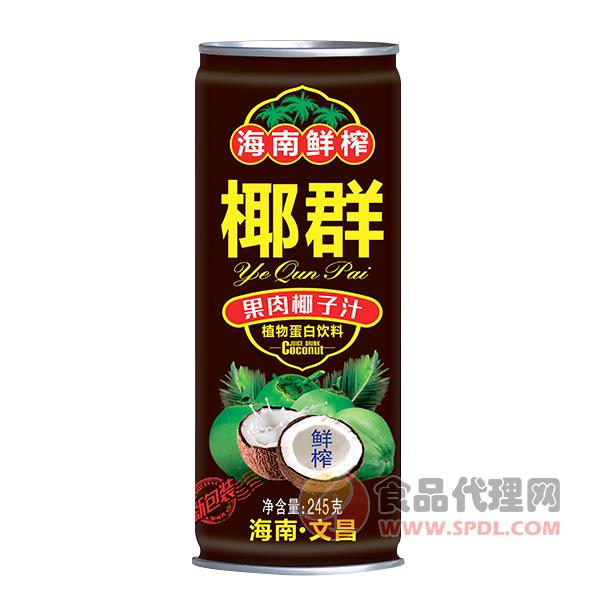 椰群果肉椰子汁饮料245g