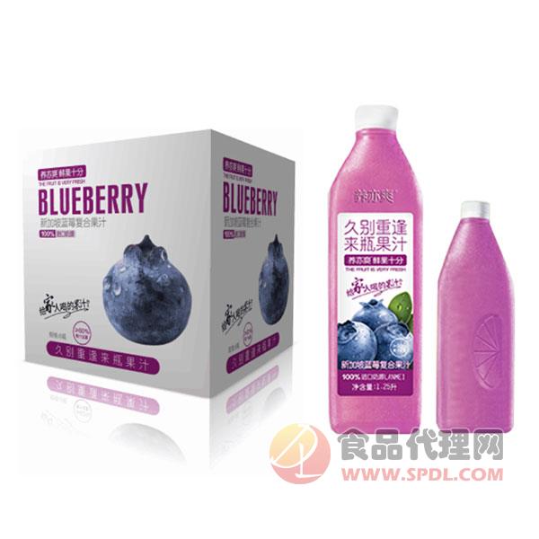 养亦爽新加坡蓝莓复合果汁饮料1.25Lx6瓶