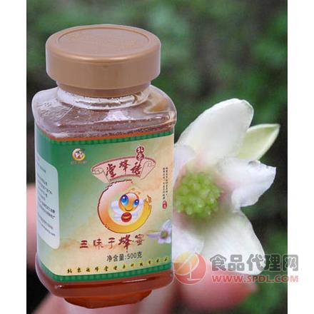 德蜂堂五味子蜂蜜500g