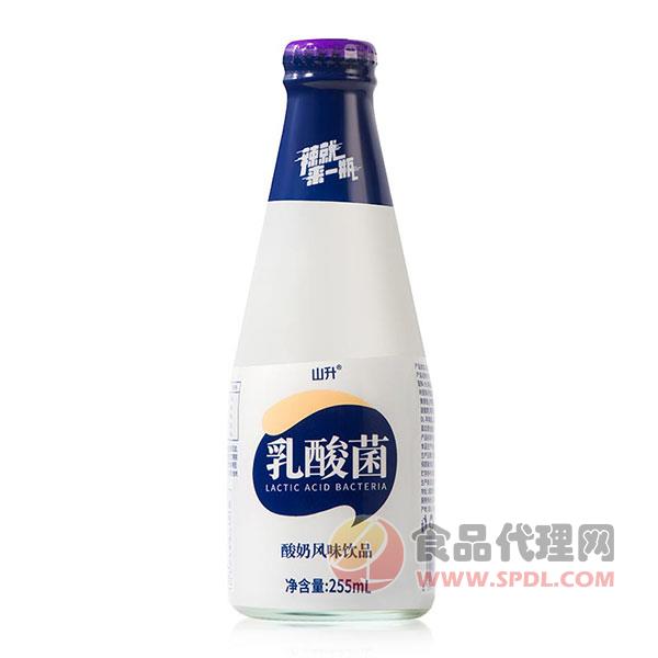 山升乳酸菌酸奶饮品255ml