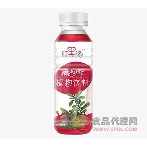 红黑缘黑枸杞植物饮料310ml