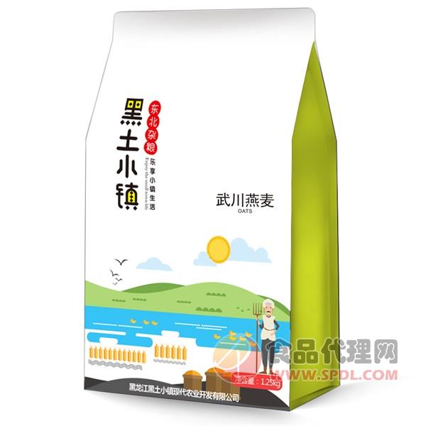 黑土小镇武川燕麦1.25kg