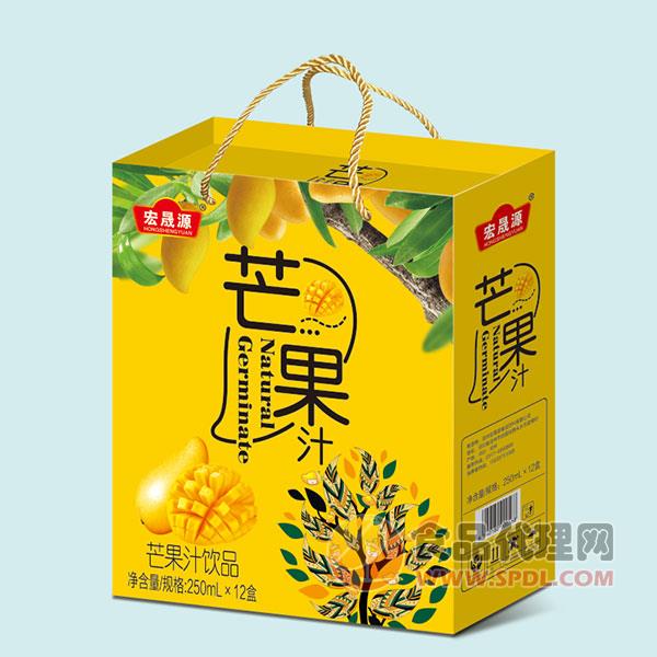 宏晟源芒果汁饮品250mlx12盒
