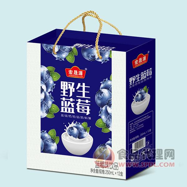 宏晟源野生蓝莓味饮品250mlx12盒