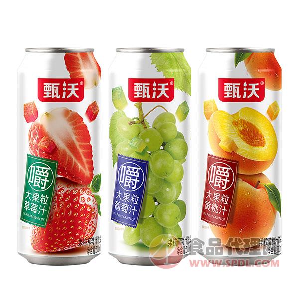 甄沃大果粒果汁组合500ml