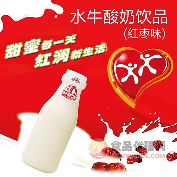 盛牧红枣味水牛酸奶饮品瓶装