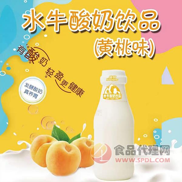盛牧黄桃味水牛酸奶饮品瓶装