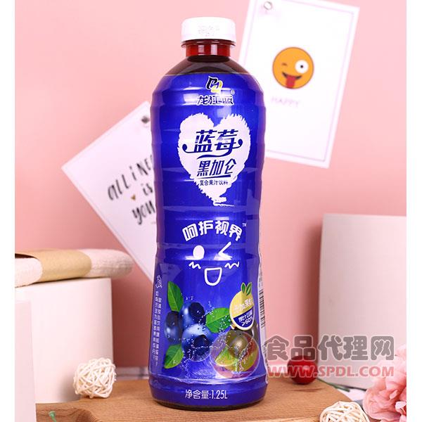 龙江蓝蓝莓黑加仑复合果汁饮料1.25L