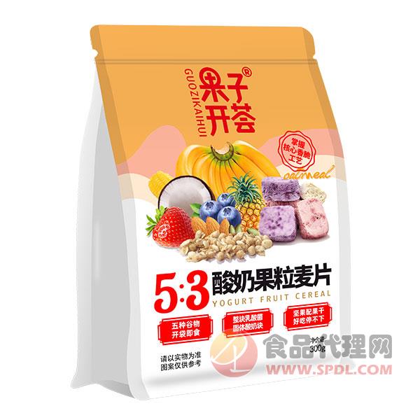 果子开荟酸奶果粒麦片300g